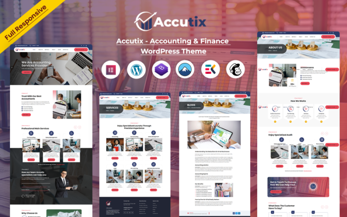 Accutix - Muhasebe ve Finans WordPress Teması