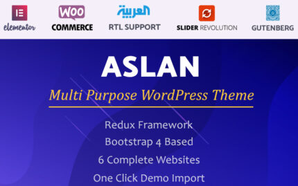 Aslan | Çok Amaçlı Elementor WordPress Teması