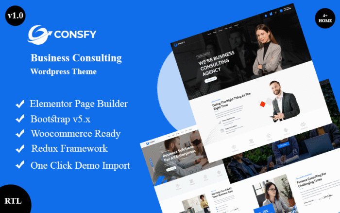 Consfy - İş Danışmanlığı WordPress Teması + RTL