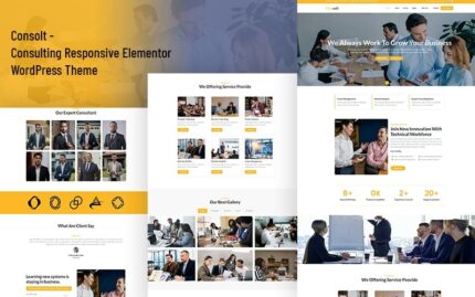 Consolt - Danışmanlık Duyarlı Elementor WordPress Teması