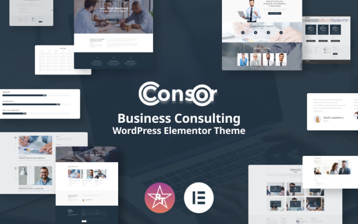 Consor - İş Danışmanlığı WordPress Elementor Teması