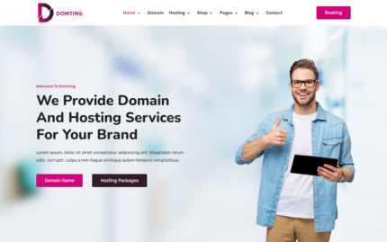 Domting - Alan Adı ve Hosting Sağlayıcı Şirket ve Ajans Elementor WordPress Teması