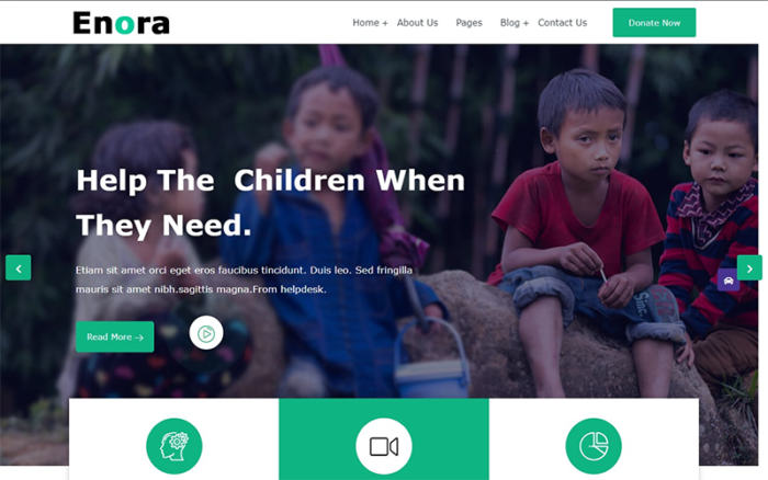 Enora - Hayır ve Kâr Amacı Gütmeyen WordPress Teması