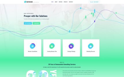 Metricon - Kurumsal İş WordPress Elementor Teması