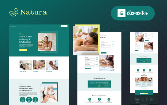 Natura - Güzellik ve Spa Masaj Salonu Elementor WordPress Teması