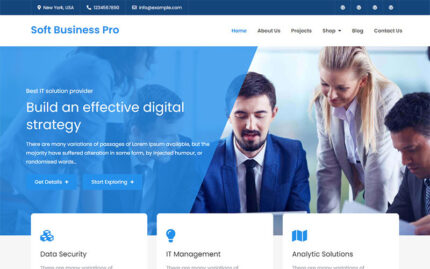 Soft Business Pro - Temiz ve Modern WordPress İş Teması