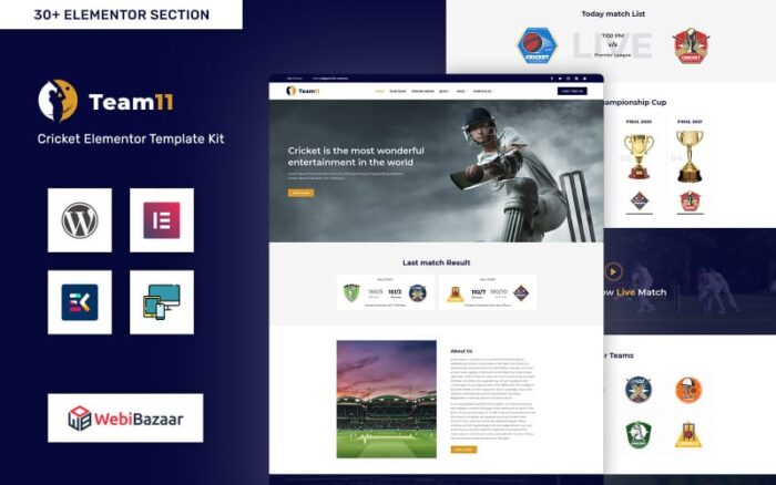 Team11 - Cricket Duyarlı Web Sitesi WordPress Elementor Teması