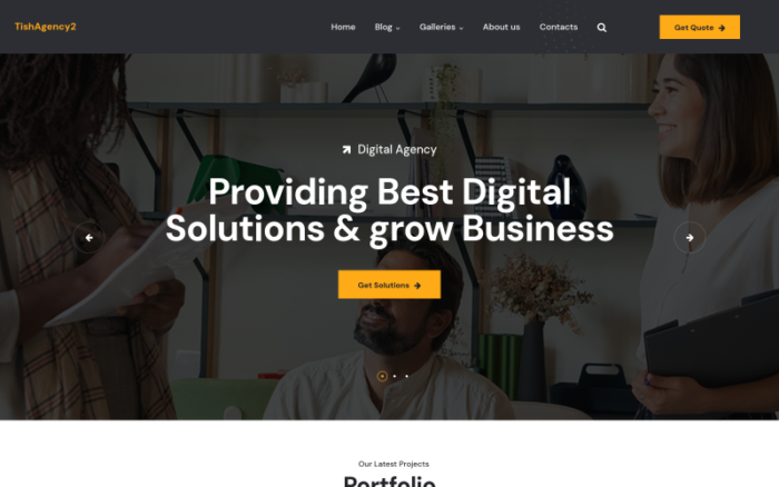 TishAgency2 - Dijital Ajans WordPress Teması
