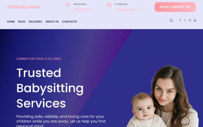 TishBabysitter - Bebek Bakıcısı WordPress Teması