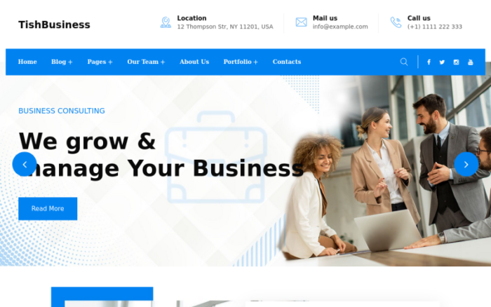 TishBusiness - Kurumsal ve İş WordPress Teması