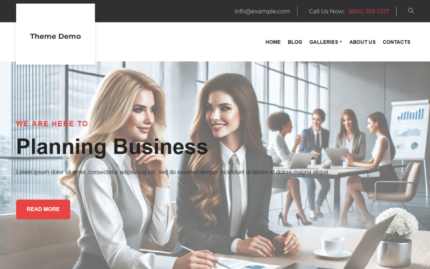 TishBusiness6 - İş WordPress Teması