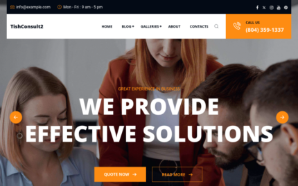 TishConsult2 - İş ve Danışmanlık WordPress Teması