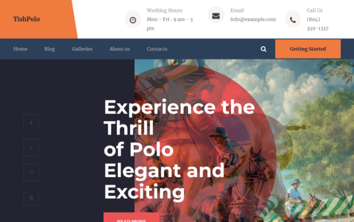 TishPolo - Polo WordPress Teması