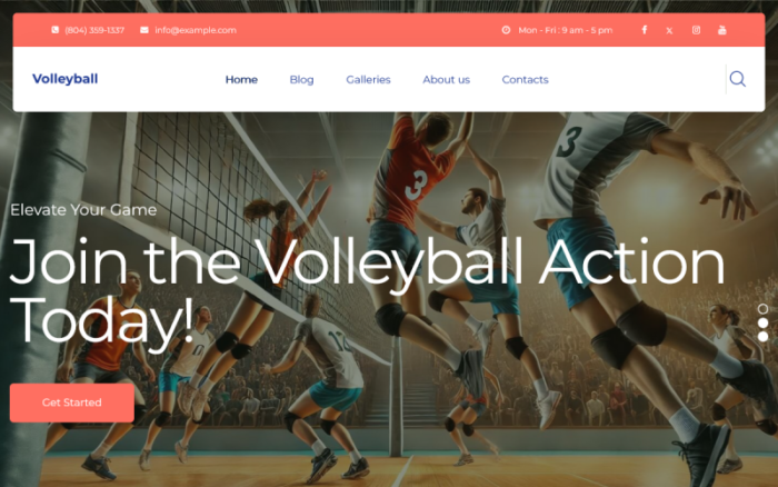 TishVolleyball - Voleybol WordPress Teması