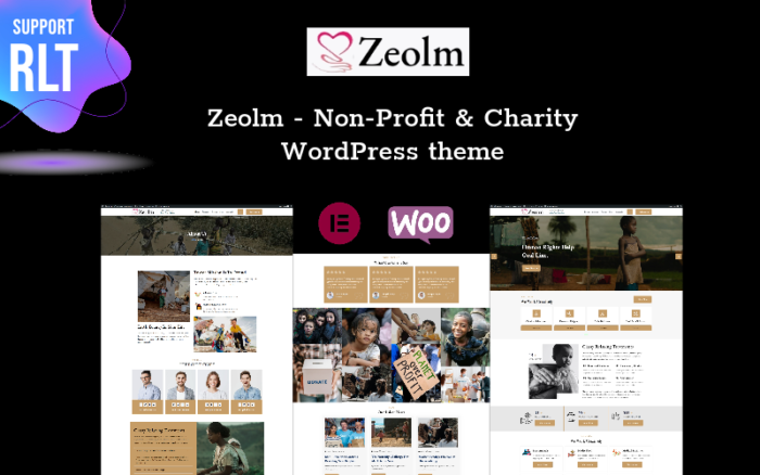 Zeolm - Kâr Amacı Gütmeyen ve Hayır Kurumu WordPress teması